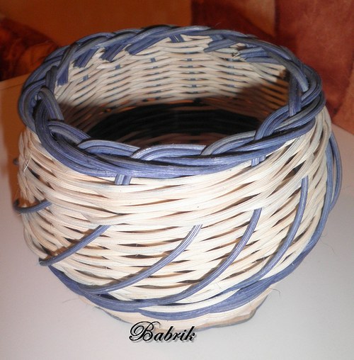 Modrý buclák — foto 2