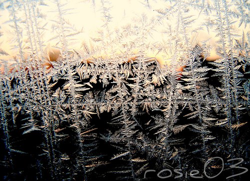 Malíř Mr. Frost — foto 2