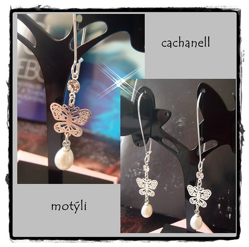 Motýli — foto 3