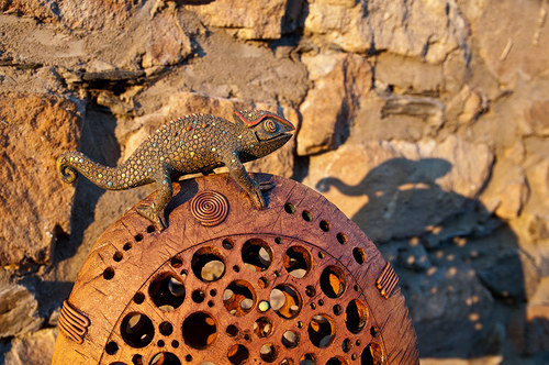 Chameleon na kopci — foto 4
