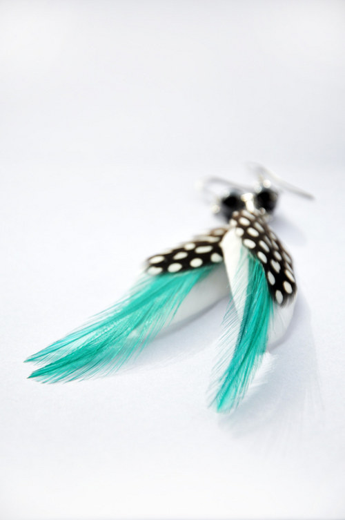 DottedBird. — foto 2