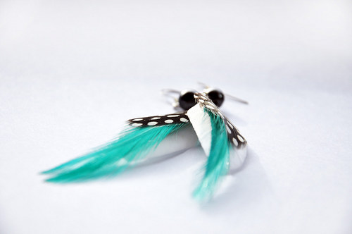 DottedBird. — foto 3