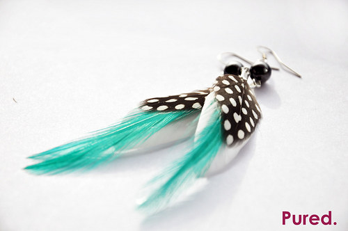 DottedBird. — foto 4