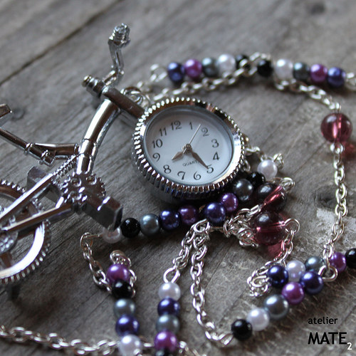 Létající kolo Fleur Delacour — foto 3