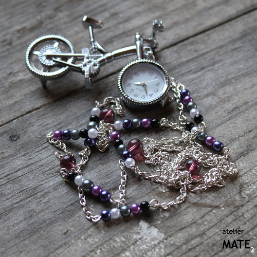 Létající kolo Fleur Delacour — foto 6