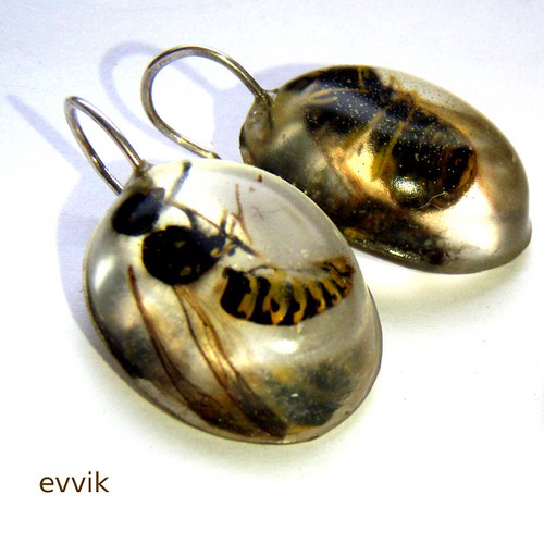 Vosí tělíčka — foto 2
