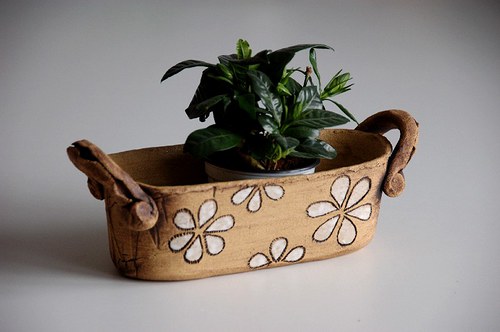 Truhlíček bílé kytky — foto 3