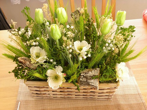 Jarní zahrádka — foto 3