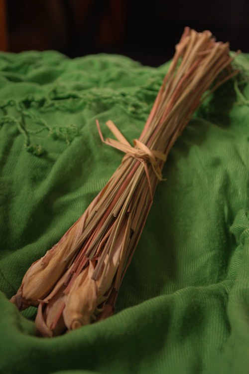 Citronelka — foto 3