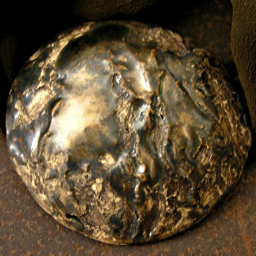 Bronzovka — foto 2