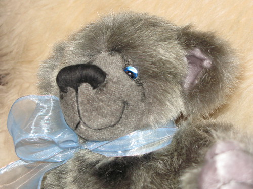 Pomněnka — foto 2