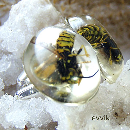 Want to live forever — foto 4