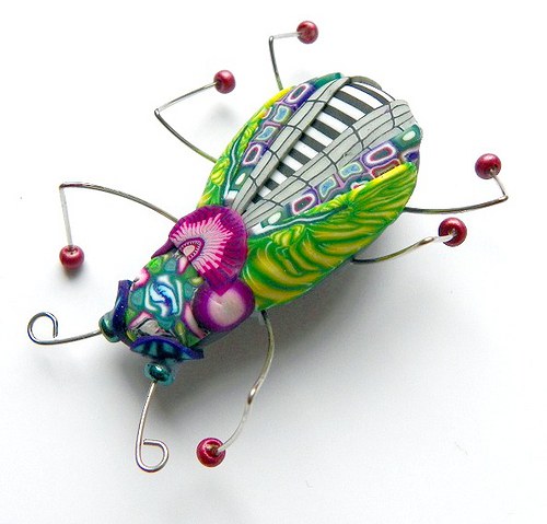Brož hmyzák jarní — foto 2