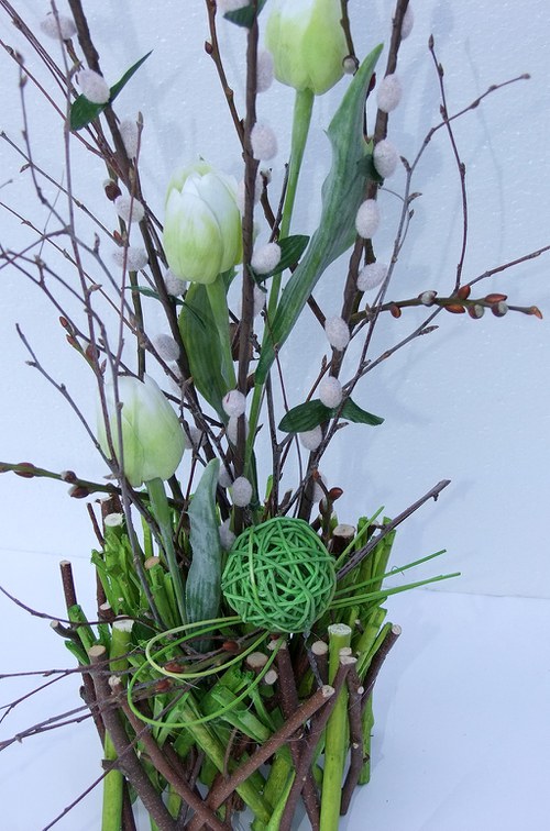Tulipánky v proutí - zelenkavé — foto 2