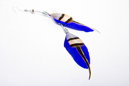 RoyalBlueBird. — foto 3