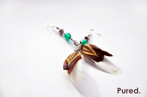 WildBird. — foto 6