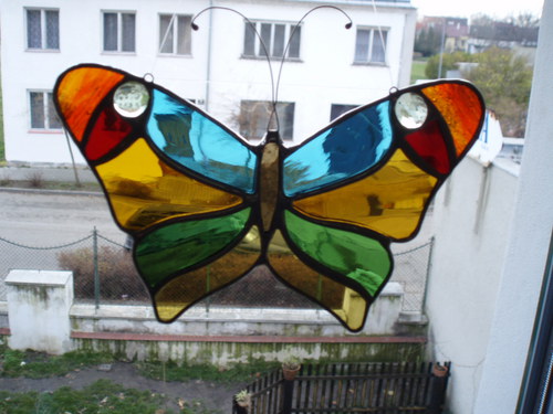 Motýlek — foto 2