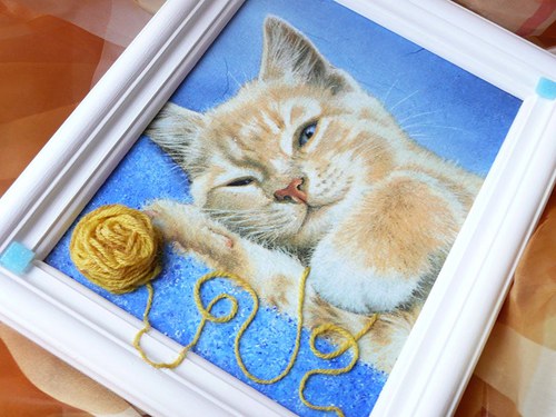 Mňau ! — foto 6