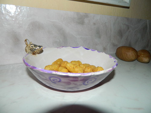 Miska myška — foto 2