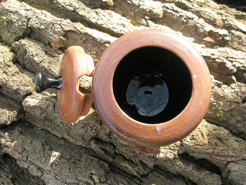 Mini cukřenka — foto 3