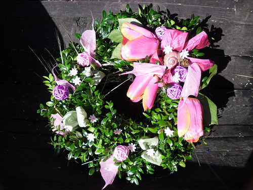 Tulipánovník — foto 2