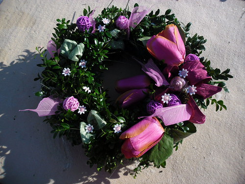 Tulipánovník — foto 3