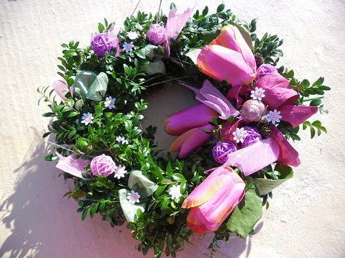 Tulipánovník — foto 4