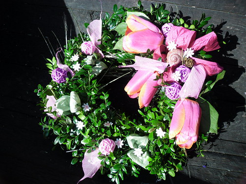 Tulipánovník — foto 6