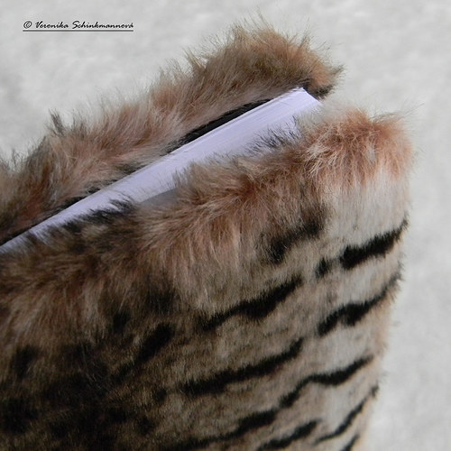 Zápisník "Chlupáč" — foto 2