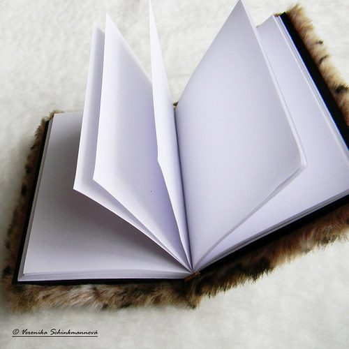 Zápisník "Chlupáč" — foto 3