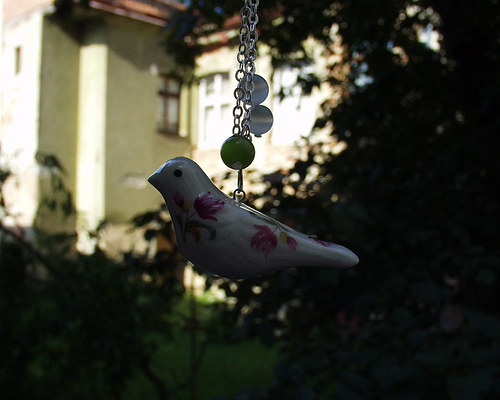 * Ten Holanďan z Nizozemí * — foto 4