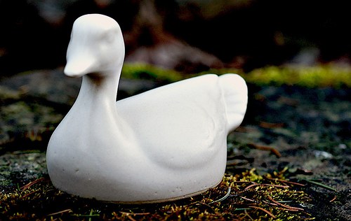 Keramická kachna — foto 2