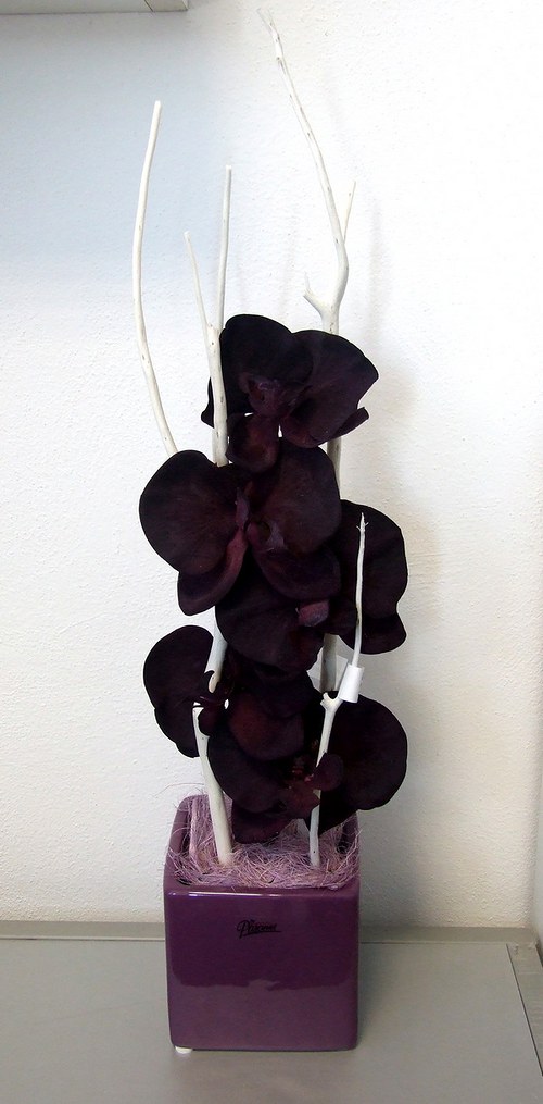Černá orchidej v krychli II — foto 2