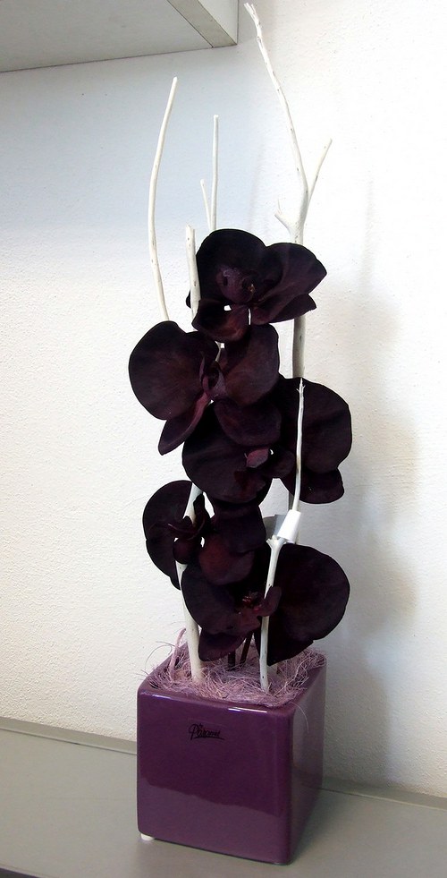 Černá orchidej v krychli II — foto 3
