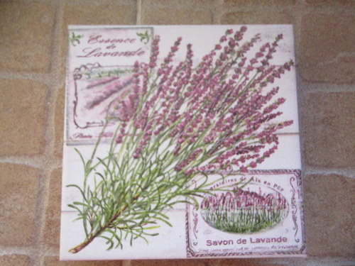 Levandule 4 — foto 2