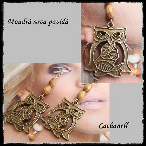 Moudrá sova povídá — foto 2