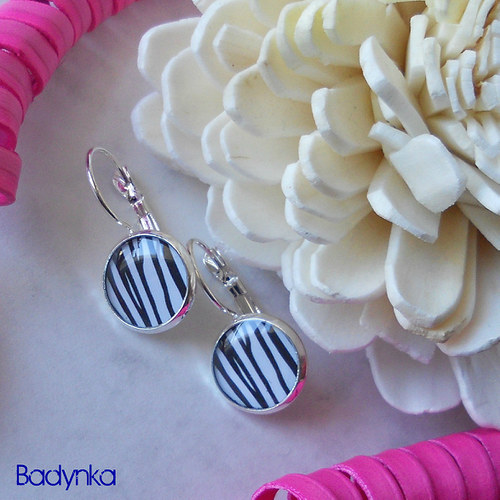 Zebra — foto 2