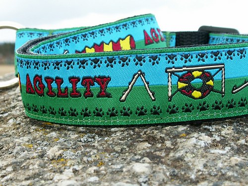 AGILITY obojek zeleno-modrý — foto 2