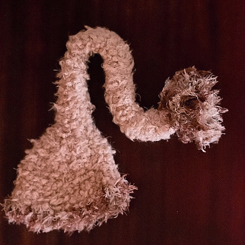 Mimi chlupatka — foto 2