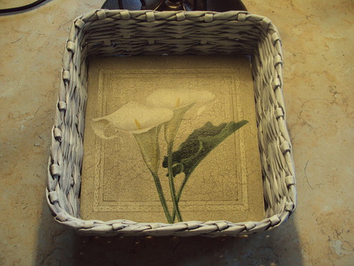 Plesniváček s kalou — foto 2