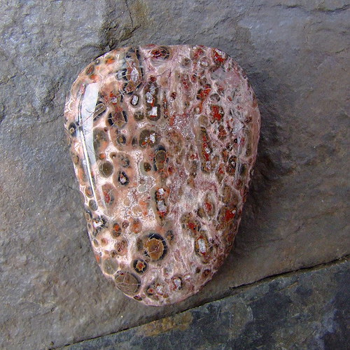 Jaspis Leopardí — foto 2