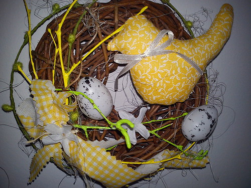 ...žluťásek — foto 2
