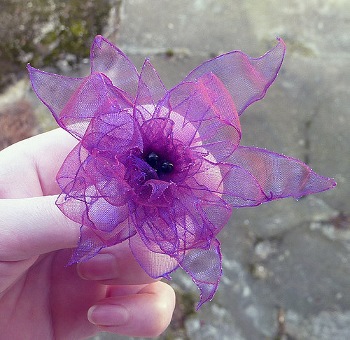 Střapatka — foto 4