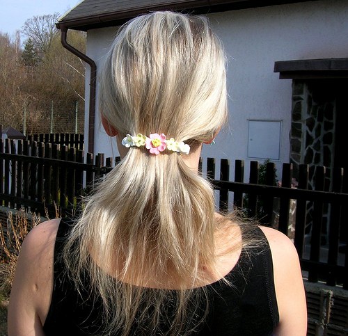 Růženka šípková — foto 5