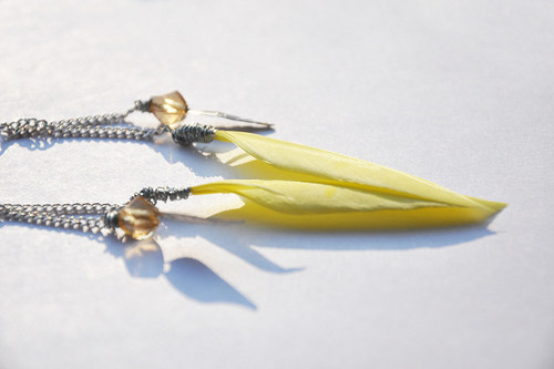 Sooyellow. — foto 3