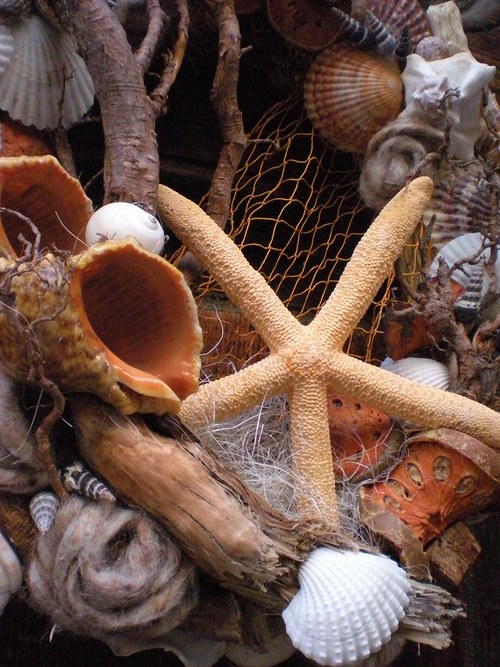 Karibik — foto 2
