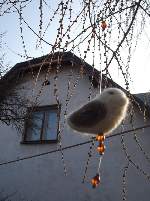 Plstěný zpěváček... — foto 5