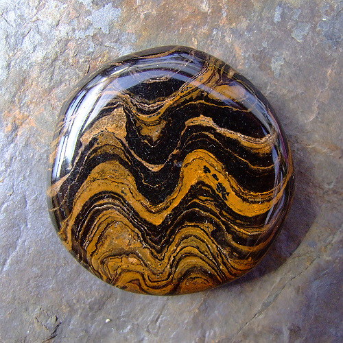 Stromatolit — foto 2