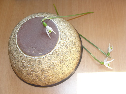 Šnekmise akce — foto 5