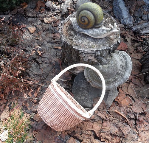 Košík — foto 2